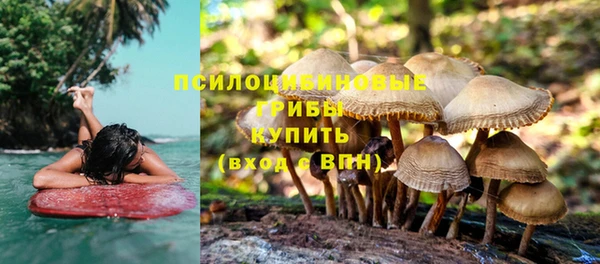 mix Шали