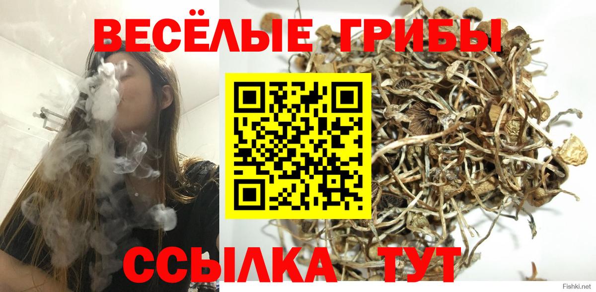 Псилоцибиновые грибы GOLDEN TEACHER Ханты-Мансийск
