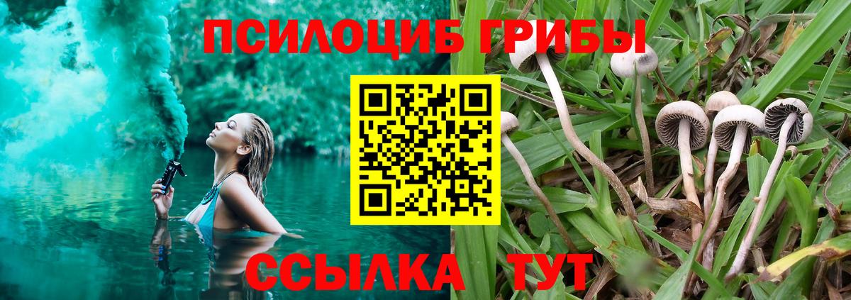 Галлюциногенные грибы Psilocybe Ханты-Мансийск
